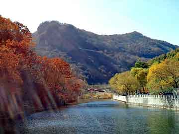 澳门天天开奖免费资料，山东土工格栅